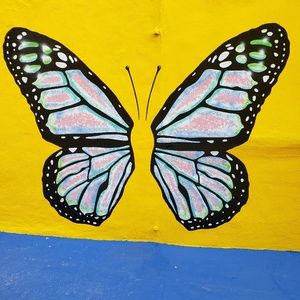 Meet your Posher, Yvonne